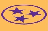  Purple Star School Logo